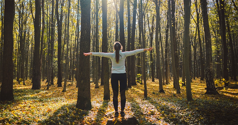 Méditation et nature