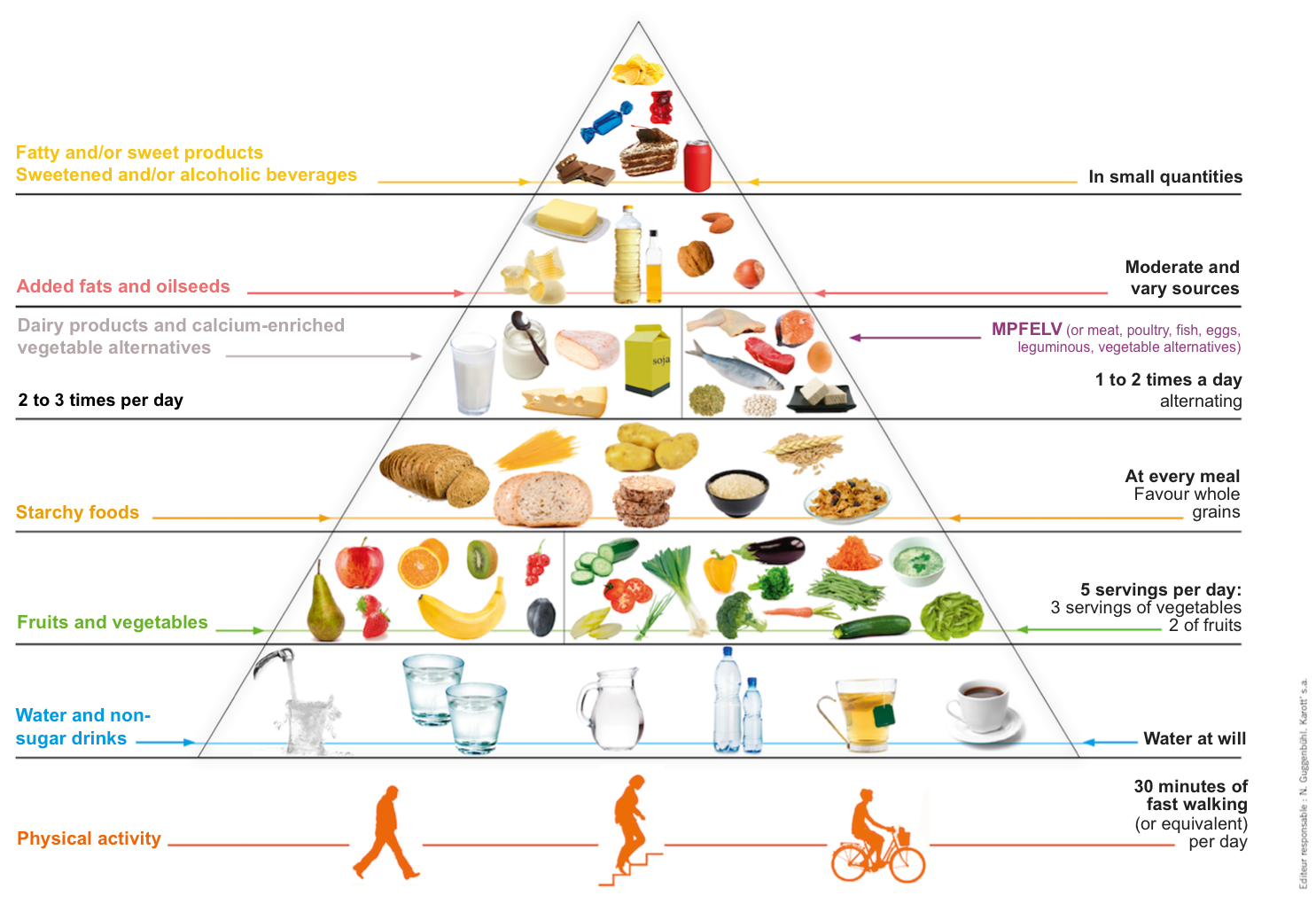 the food pyramid