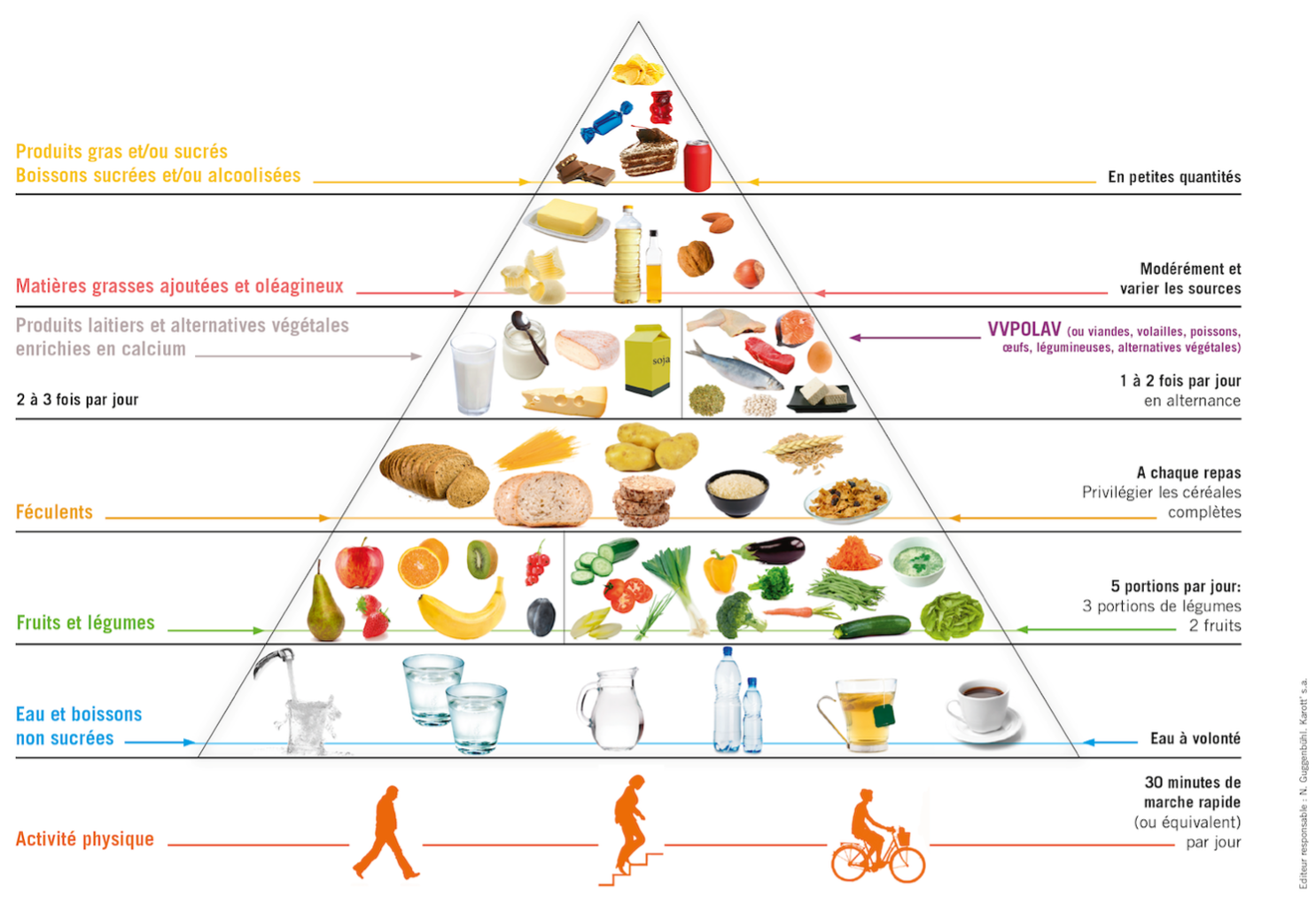 La pyramide alimentaire