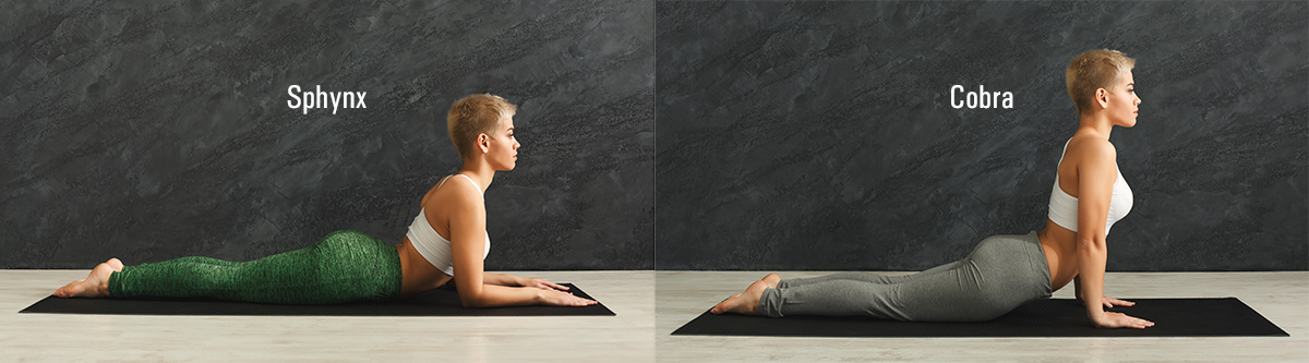 exercice yoga sphynx cobra