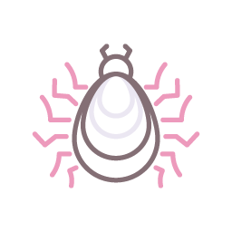 Dust mites allergy icon