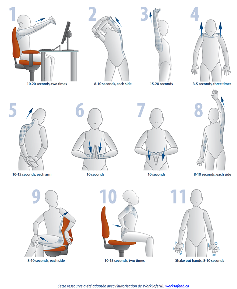 examples of exercises for back stretching