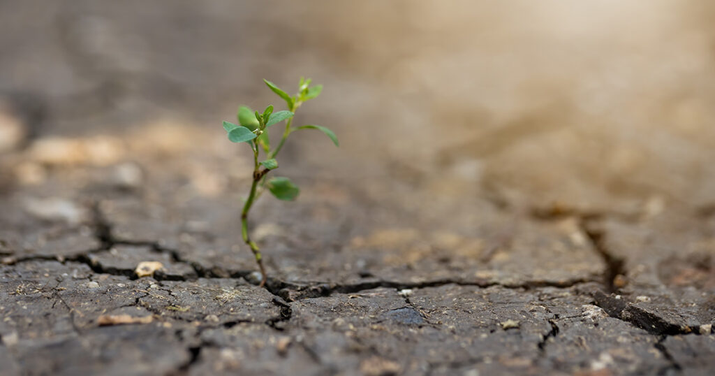 Resilience+ training