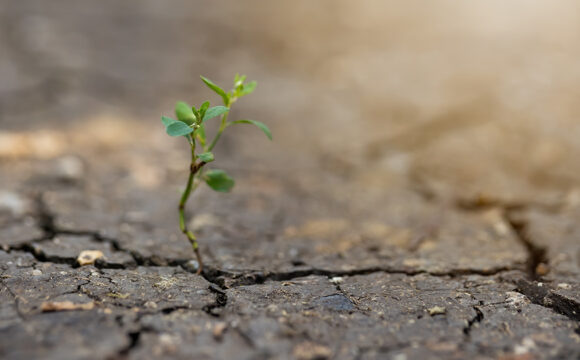 Resilience+ training