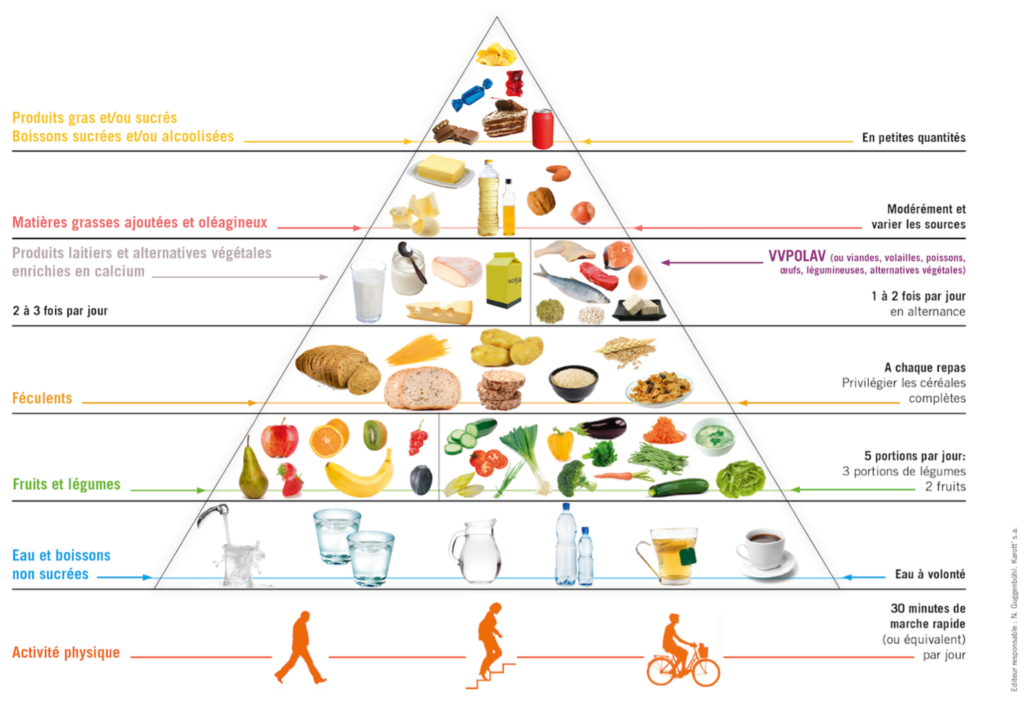 image pyramide alimentaire