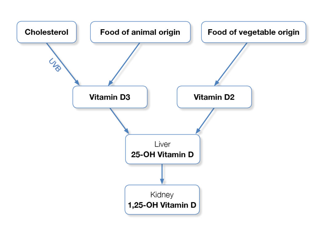 vitamin D